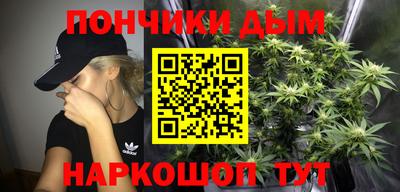 амф Новозыбков