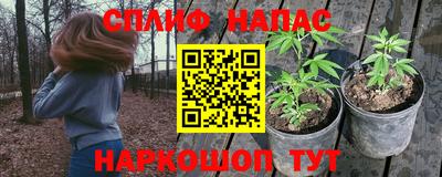 амф Новозыбков