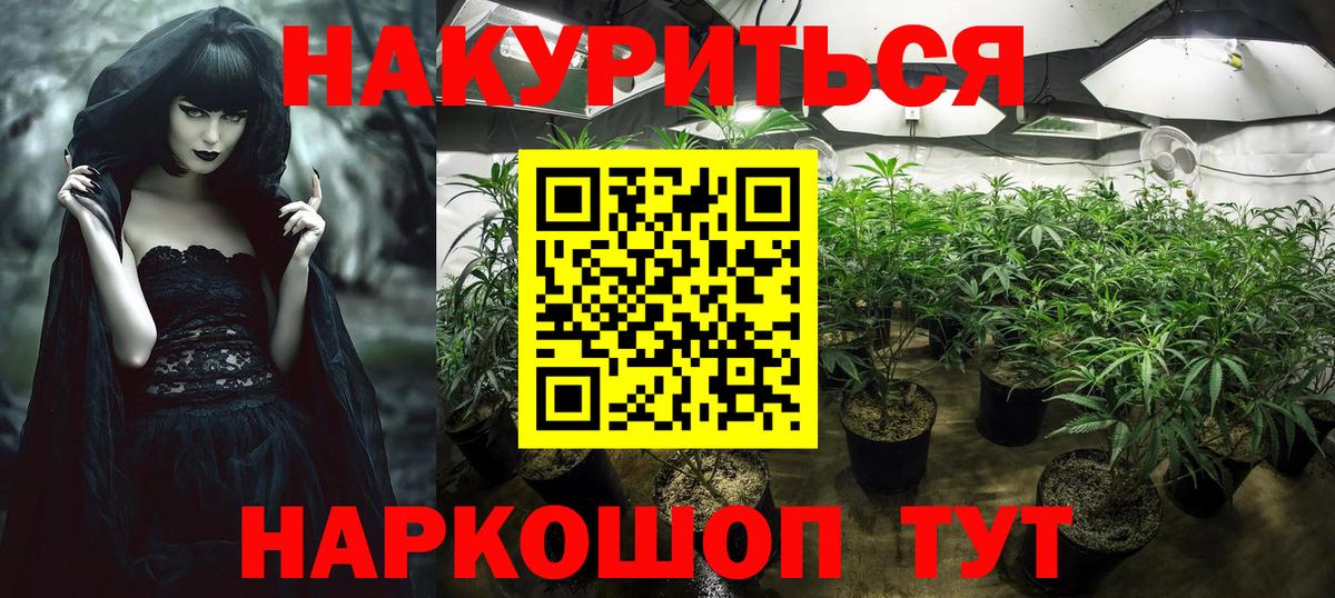 Шишки марихуана Bruce Banner Химки